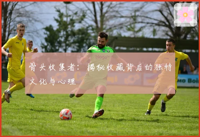 骨头收集者：揭秘收藏背后的独特文化与心理